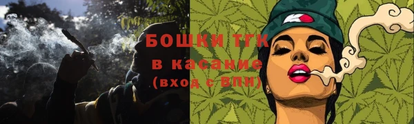 стафф Верхний Тагил