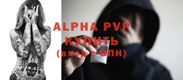 стафф Бородино