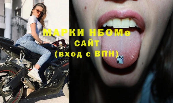 стафф Верхний Тагил