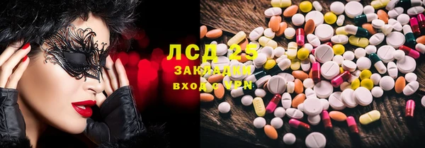 стафф Бородино