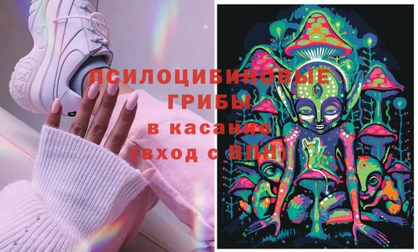 стафф Верхний Тагил