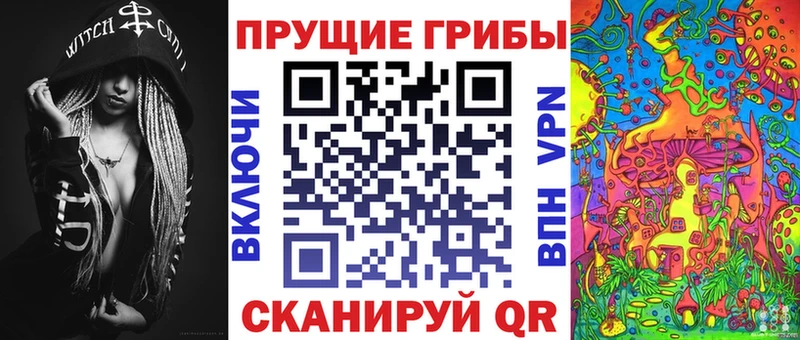 Купить закладки  Волгореченск  Галлюциногенные грибы Cubensis 